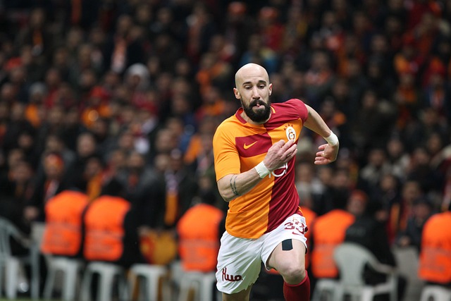 应当被判罚 应当被判罚