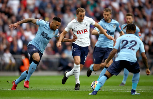 性价比极高 性价比极高