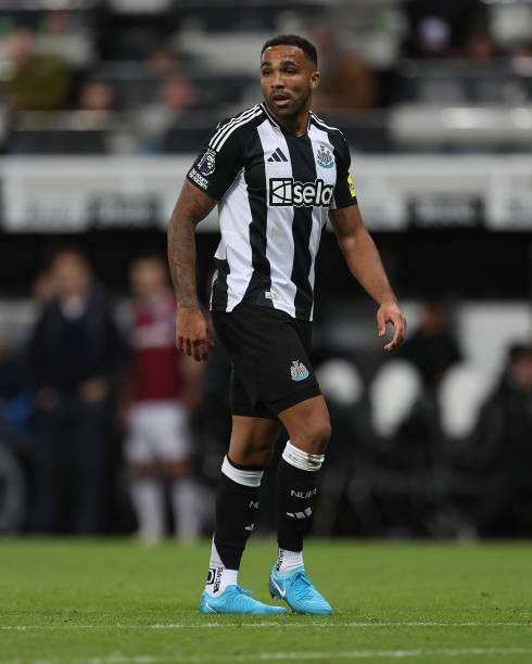 为他赢得了 为他赢得了